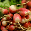 Radishes