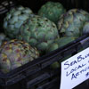 Seabluff Artichoke